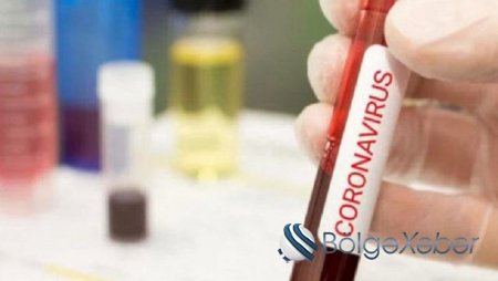 Son sutkada koronavirusa yoluxanların statistikası