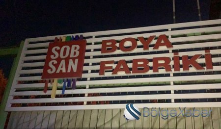 Nazirlik Sobsan Boya fabrikinin müdirini cərimələdi