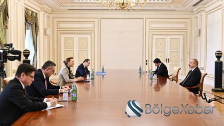 Prezident Avropa Şurasının Baş katibini qəbul etdi