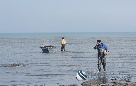 Qanunsuz balıq ovlayan 10 nəfər cəzalandırıldı