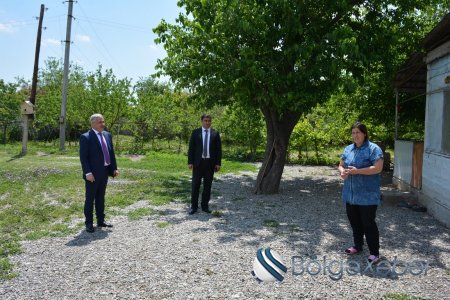 Rayon rəhbəri baramanın saxlanma şəraiti və pambıq sahələrində becərmə işləri ilə tanış olub