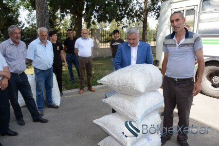 Bu gün ilk olaraq Tərtərdə barama tədarükünə başlanılıb