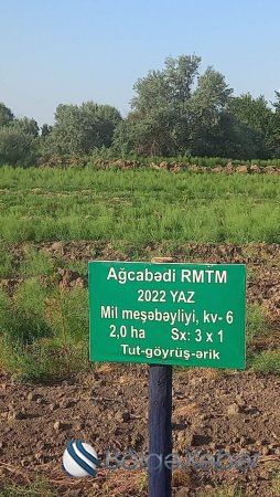 Ekologiyanın və ətraf mühütin qorunması tədbrləri artırıldı - FOTO