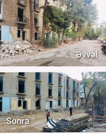 Sumqayıtda qanunsuz ağac kəsimi ilə bağlı sənədlər Baş Prokurorluğa göndərilib