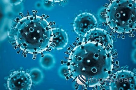 Günün koronavirus statistikası açıqlandı