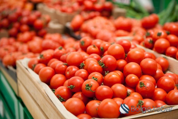 Ölkəyə gətirilən 3 ton pomidor toxumu məhv edildi