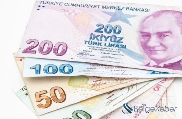 Türk lirəsinin sürətlə ucuzlaşmağının səbəbi budur - Ekspert