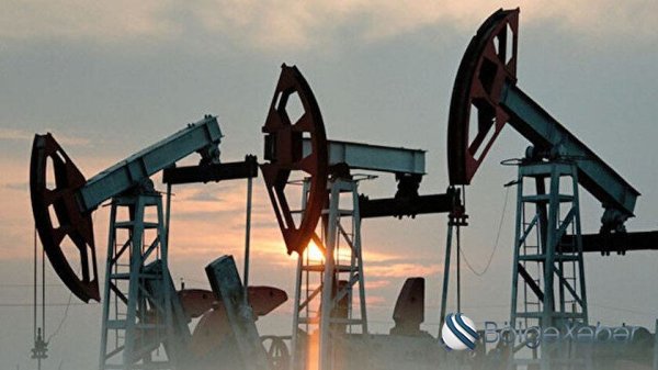 Türkiyə daha 4 vilayətdə neft axtarışlarına başlayır