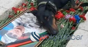 Şəhidimizin ən vəfalı dostu...