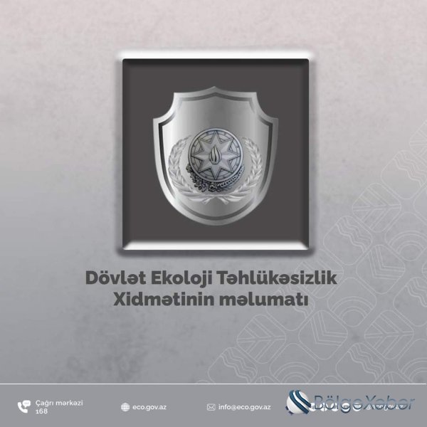 Qanunsuz ağac kəsənlər araşdırılır