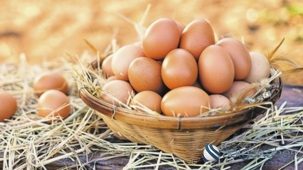 Ölkədə yumurta bahalaşa bilər?