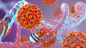 Bu qəsəbələrdə hepatit xəstəliyi yayılıb