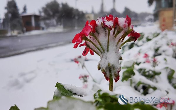 Sabahın havası açıqlandı