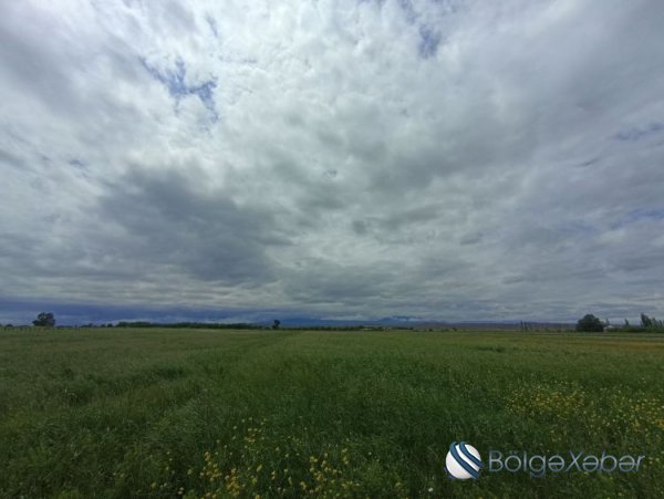 May ayında baş verən anomal soyuqların səbəbləri açıqlanıb