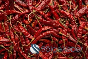 Acı sağlamlığa necə təsir edir?