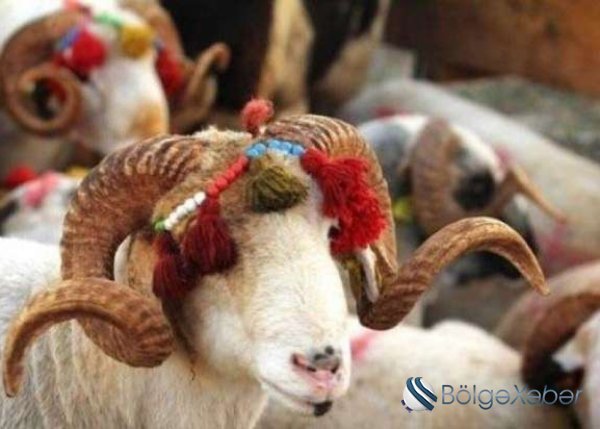 Qurban bayramı ilə bağlı əhaliyə müraciət edildi