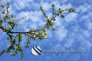 Temperatur 27 dərəcəyə yüksələcək