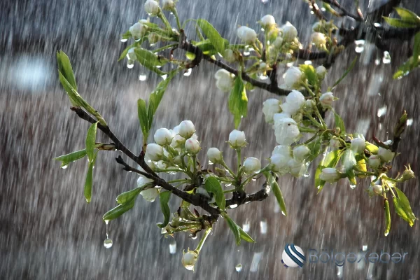 Əksər yerlərdə yağıntılı hava şəraiti davam edir - FAKTİKİ HAVA