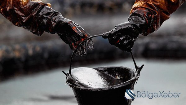 Neft bahalaşmağa davam edir