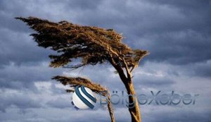Küləklə bağlı XƏBƏRDARLIQ