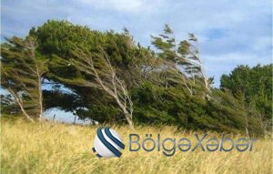 Hava ilə bağlı XƏBƏRDARLIQ